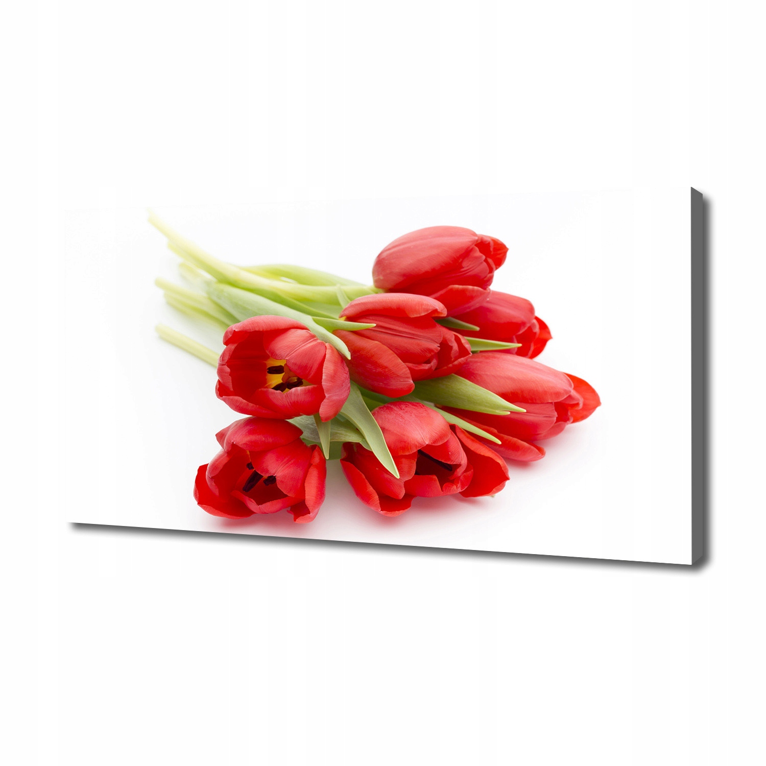 Fotoobraz obraz na plátně Červené tulipány 140 x 70 cm