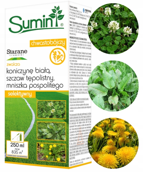 Starane Trawniki Zwalcza Chwasty Na Trawniku Koniczyna Babka Mniszek 250ML