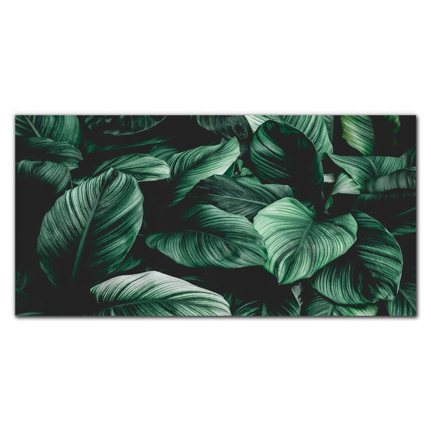 Fotoobraz na ráme Plátno Listy monstery 140x70