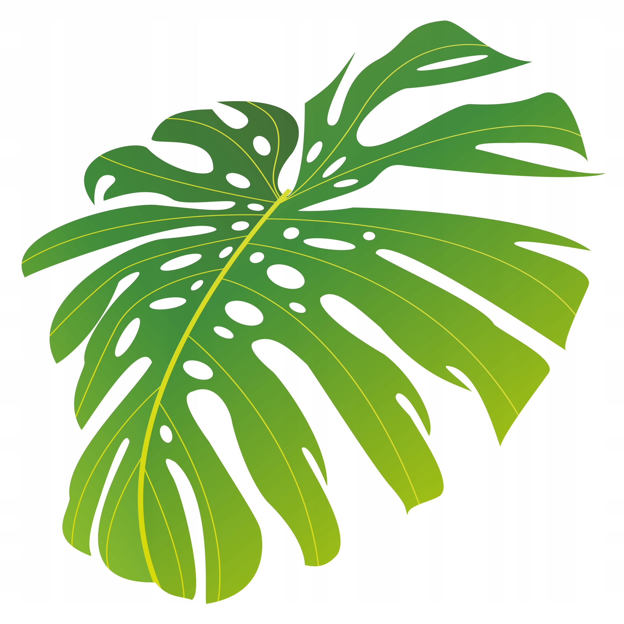 

Naklejka Na Okno Meble Lustro Liść Kwiat Monstera