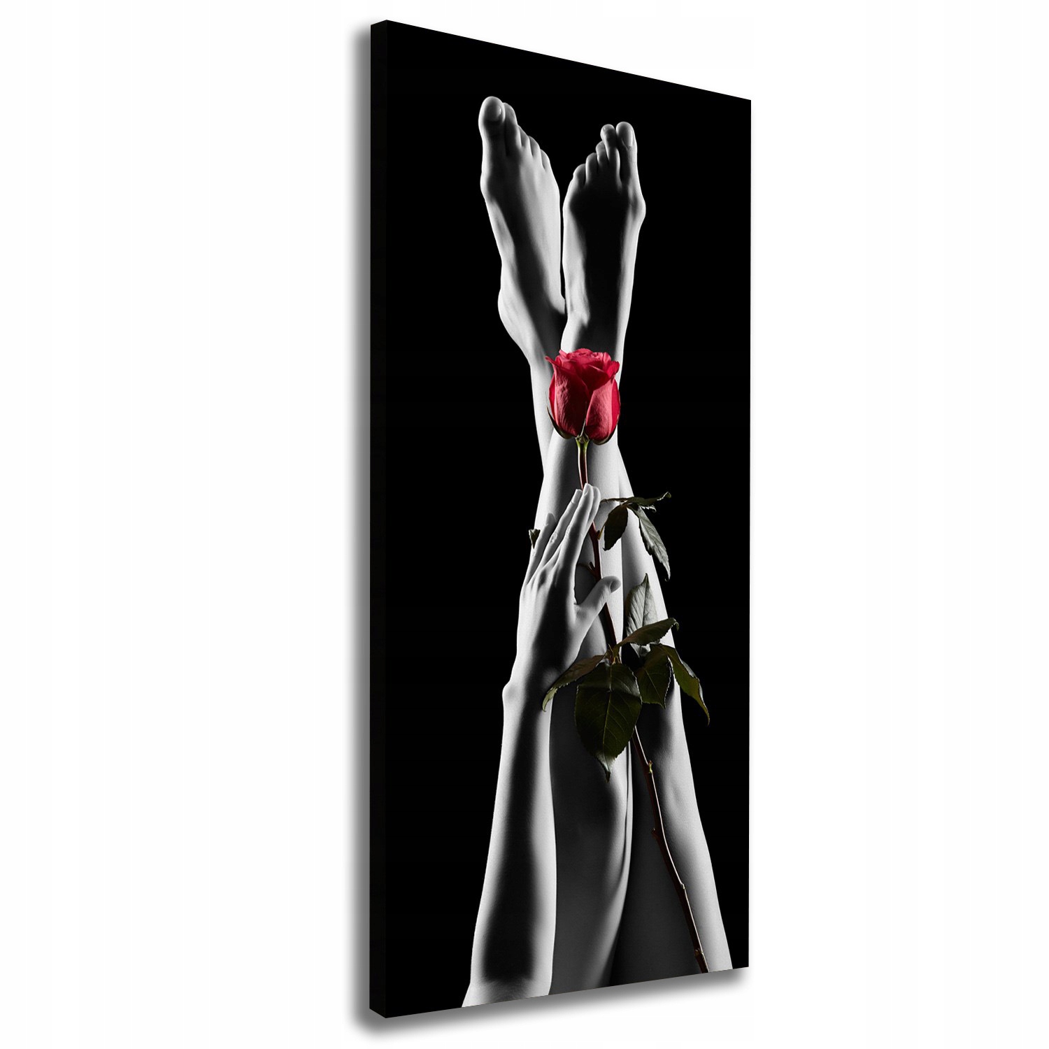 

Foto obraz canvas do salonu Róża i stopy 50x125
