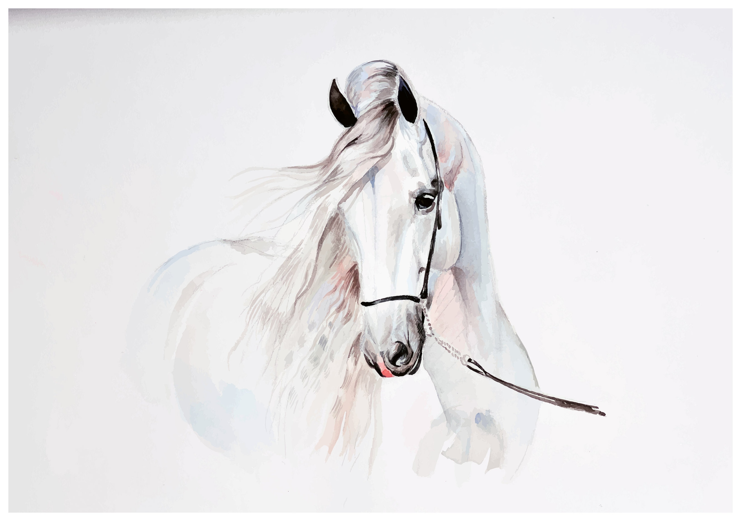 Fototapeta Bílý kůň Akvarel Pastel Elegance Profil 520x318 lepidlo
