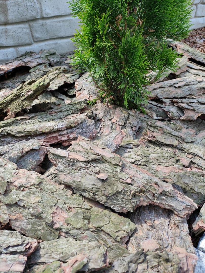 KORA SOSNOWA OGRODOWA WOREK 20L GRUBA Frakcja 20-1200 mm