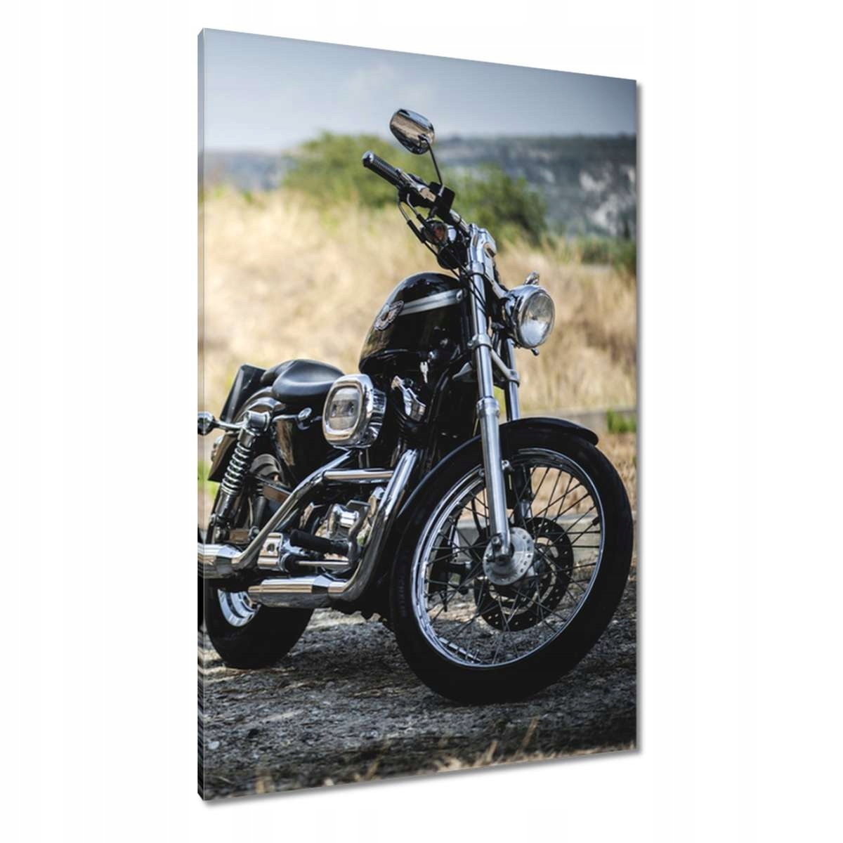 Obrazy 80x120 Motocykl Klasik Motor