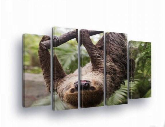 Obraz 150x100 Lenovec tropický les príroda zviera pokoj zelená