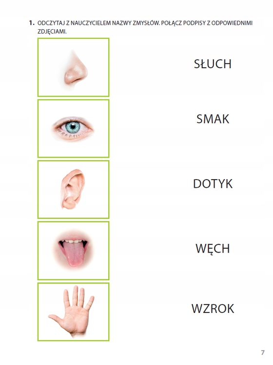 Zdobywam Świat Karty Pracy Część 1 Poziom 7 Autor Justyna Hadryś