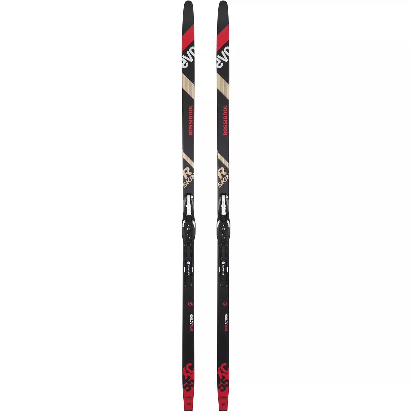 Narty biegowe Rossignol Evo XC 55 R-skin/control Si zestaw 185cm