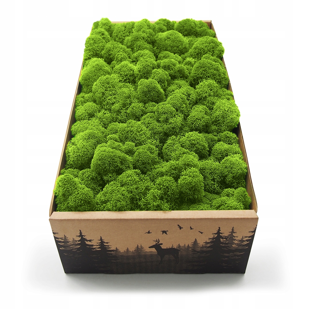 

Mech chrobotek fiński 1kg netto