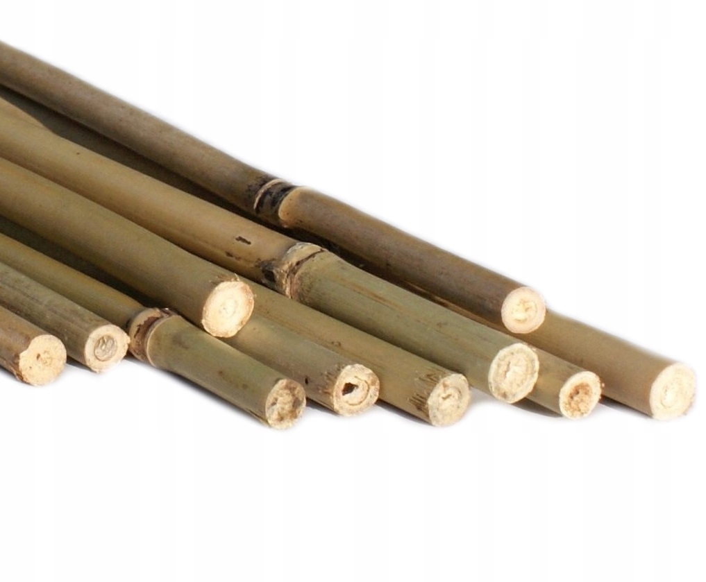 Bambusové pól podporuje palik 90cm silné 10ks