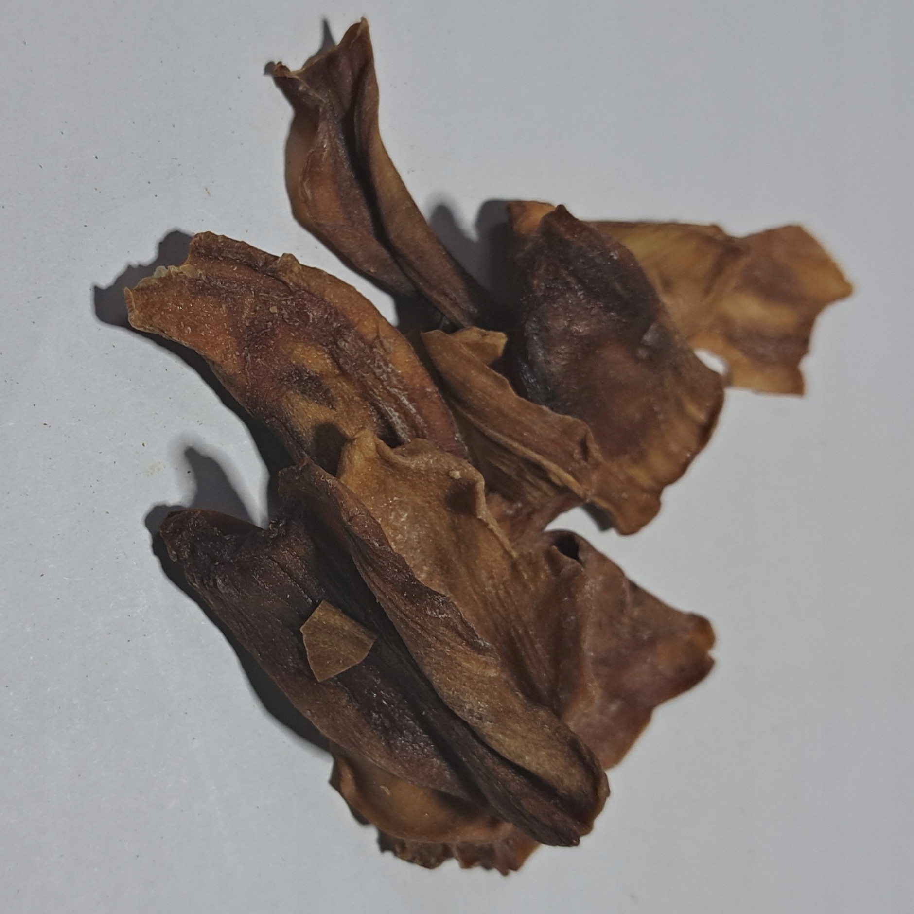 Levně Jackfrut Chlebovník různolistý 1 kg Rafex