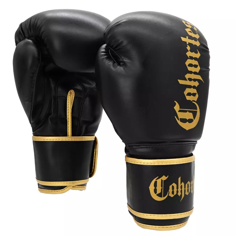 Boxerské rukavice Sparingové Trénink Box Kickbox Cohortes Latus 14 oz