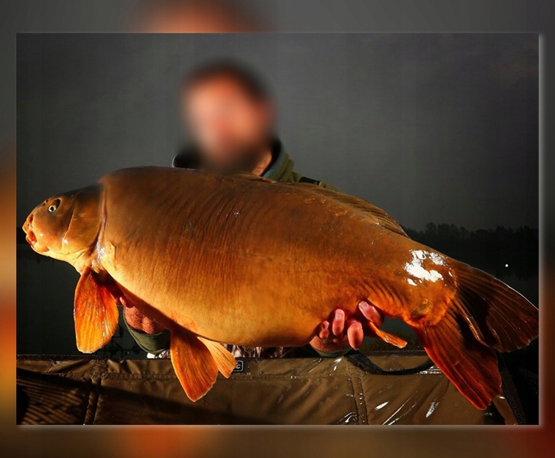 SZPILKI PEG SET MISTRAL Długość transportowa 23 cm