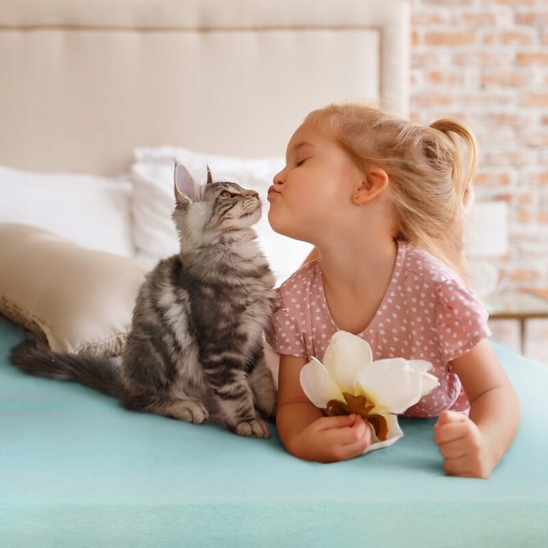 PRZEŚCIERADŁO JERSEY3 220X200 CM, WYS.30 CM BIAŁY Rodzaj prześcieradła z gumką