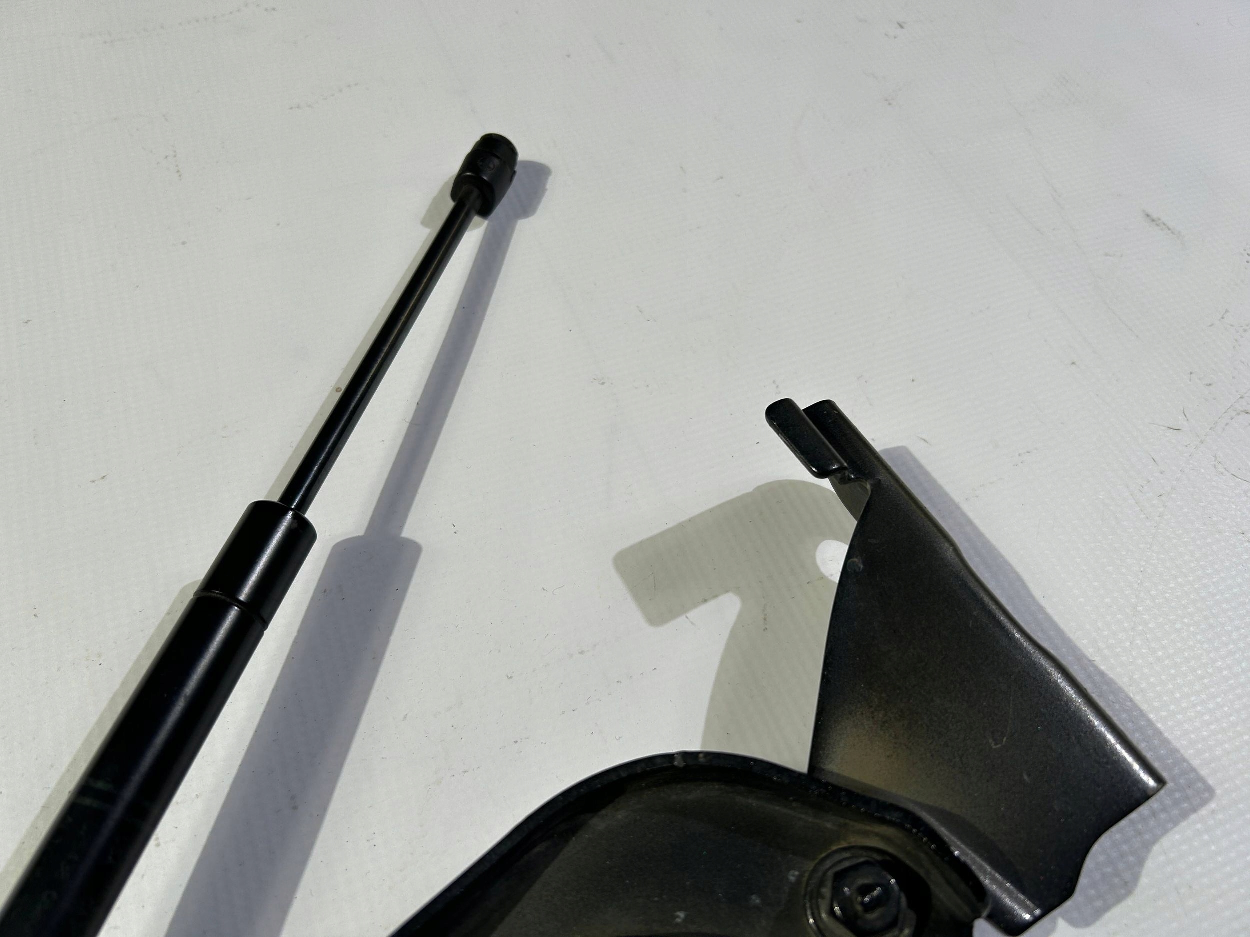 hinge bonnets left damper original Ford F150 F-150 2009