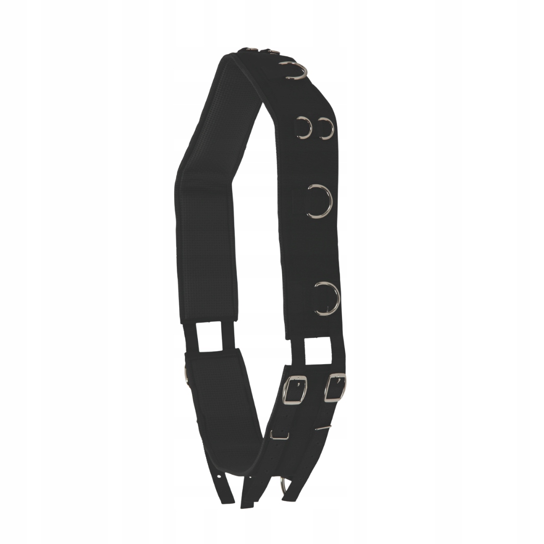 Nylonový pás pro lonžování Waldhausen Full