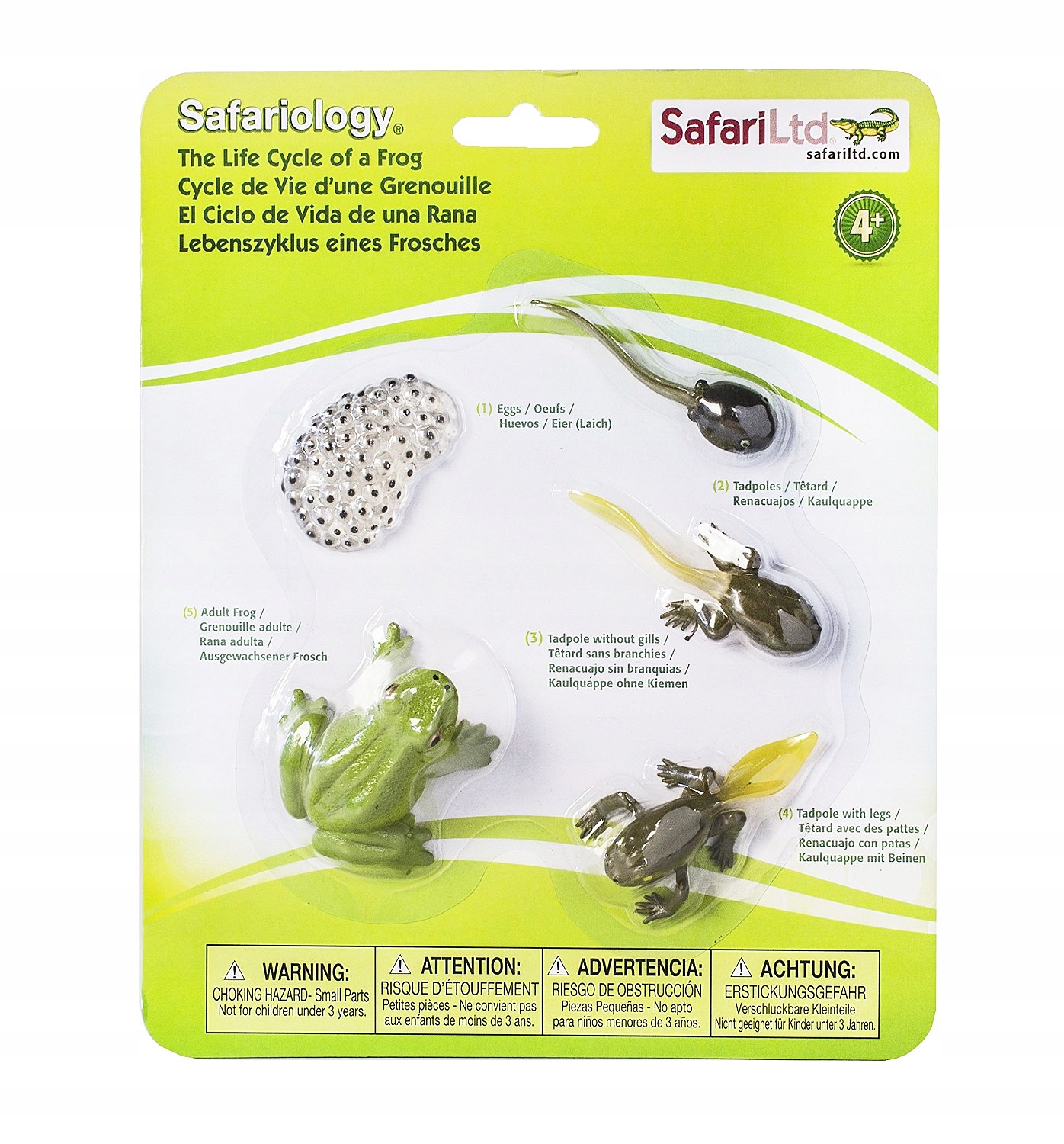 

Safari Ltd Cykl życia Żaby - Montessori