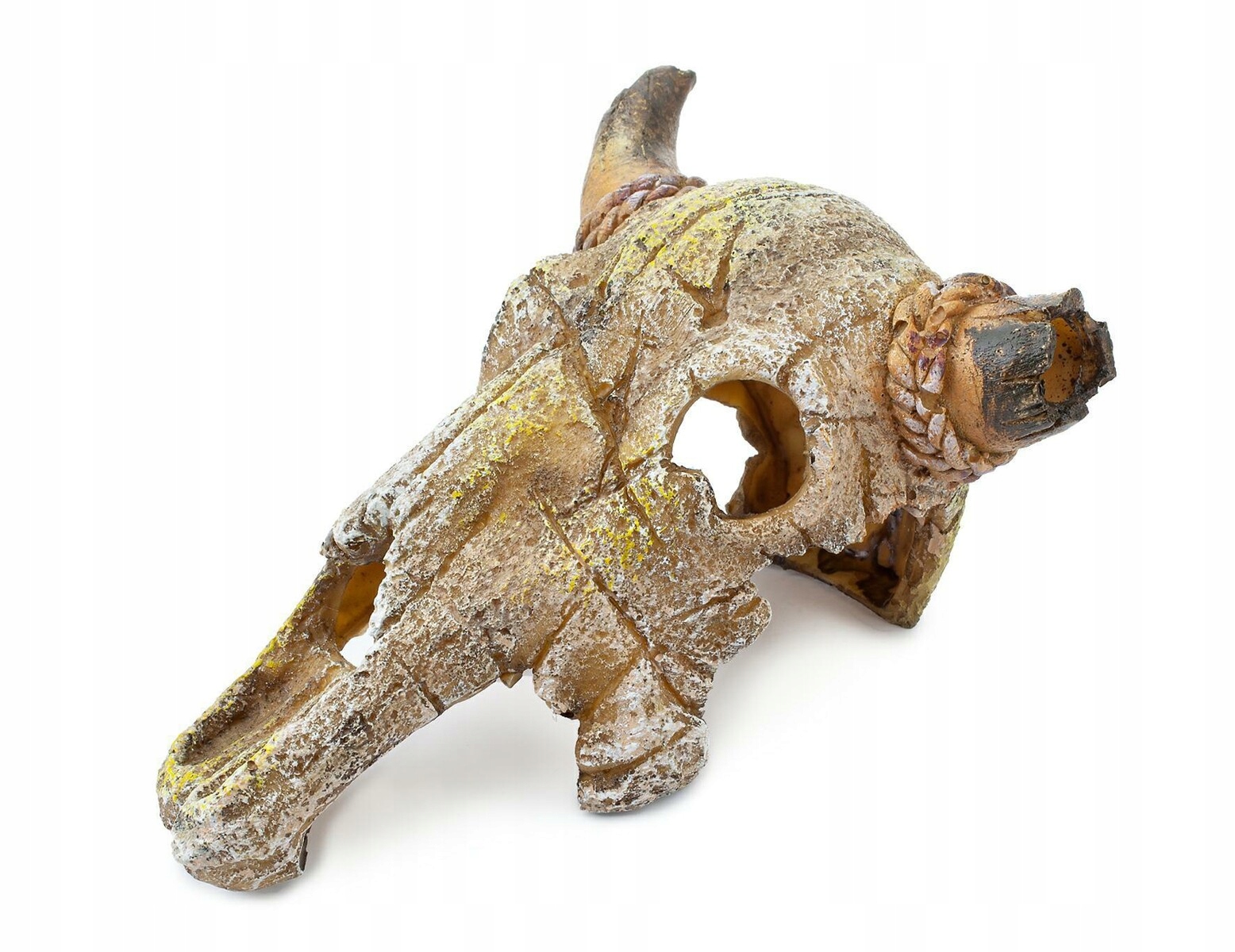 

Kryjówka do terrarium akwarium czaszka byka 19 cm