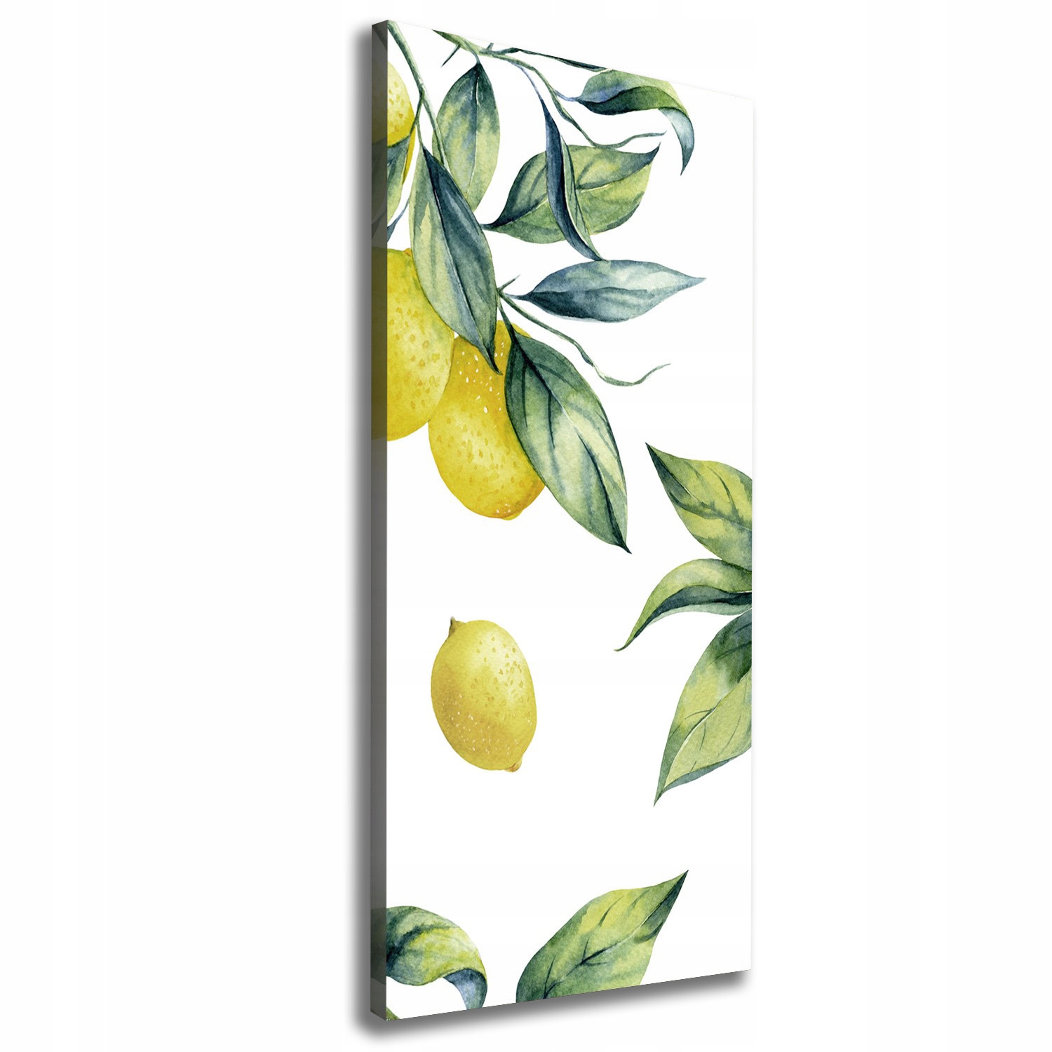 

Nowoczesny obraz canvas na ramie Cytryny 50x125 cm