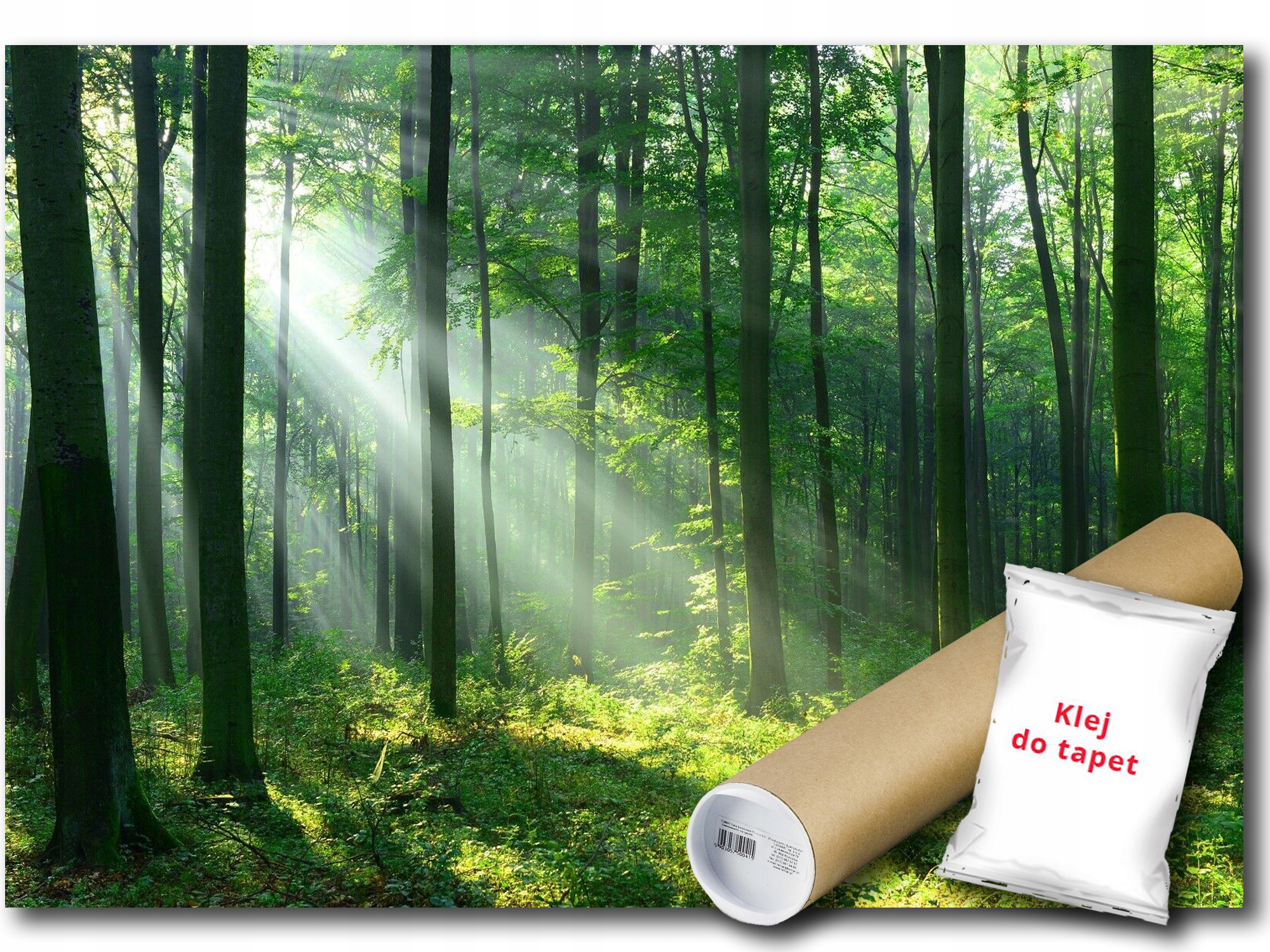 Fototapeta Vliesová Krajina Les Stromy Slunce 200x140 lepidlo bonus