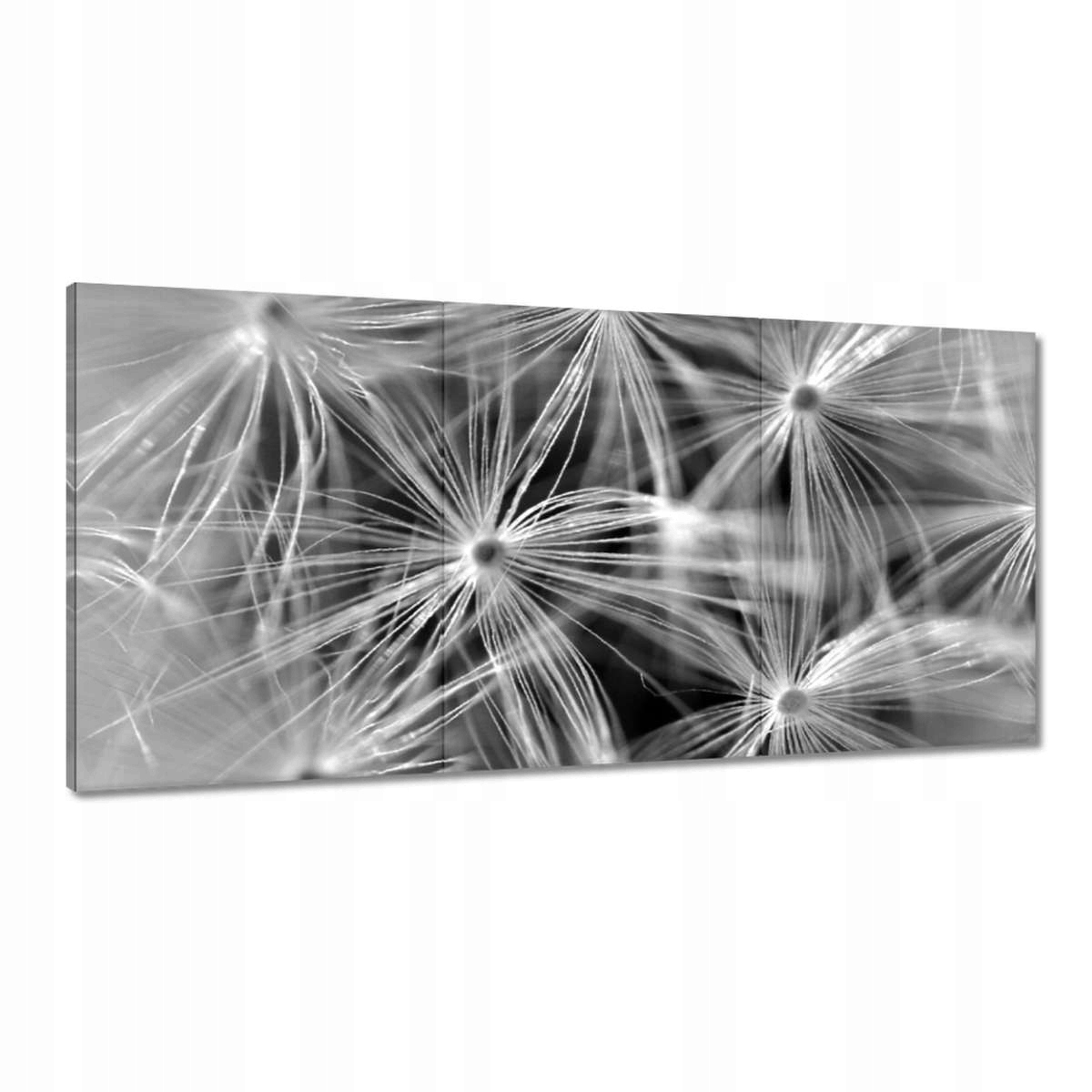 Obrazy 180x90 Púpava Kvet Kvety