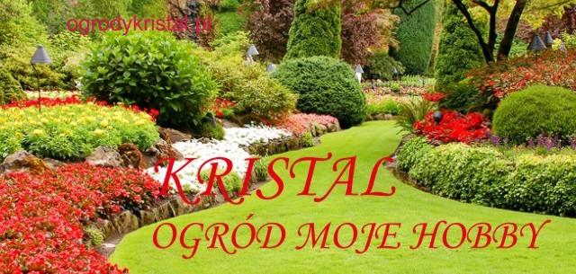 Drut nierdzewny do ramek 0,4mm 500g Kod producenta 0375