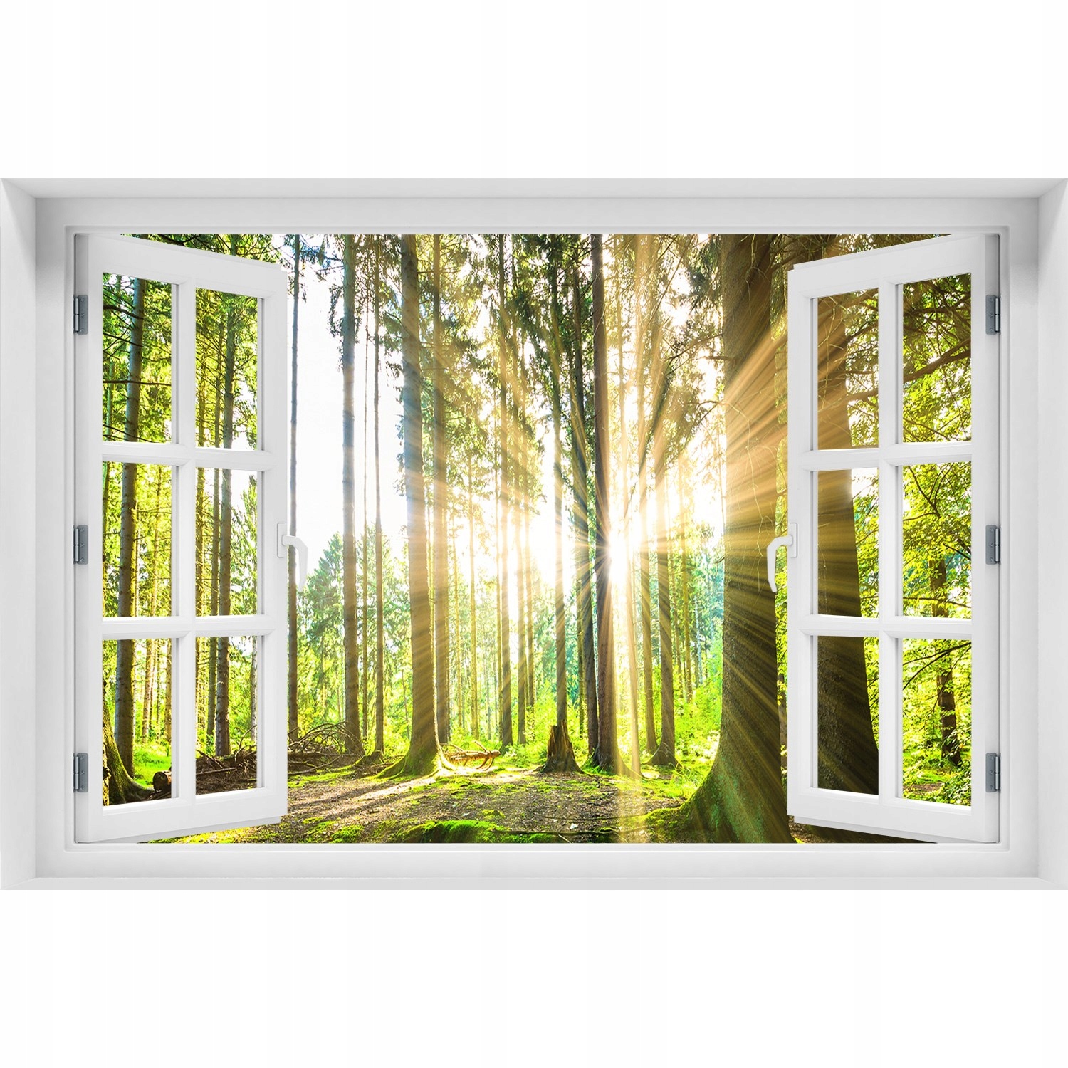 

Naklejka fototapeta 3D Okno na ścianę Las w słońcu