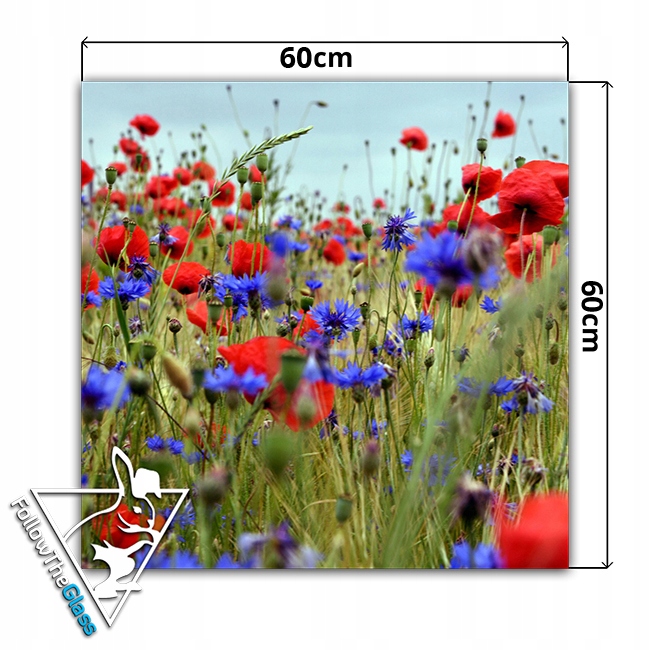 płytki ścienne hartowane kuchnia 60x60 maki Typ dekor