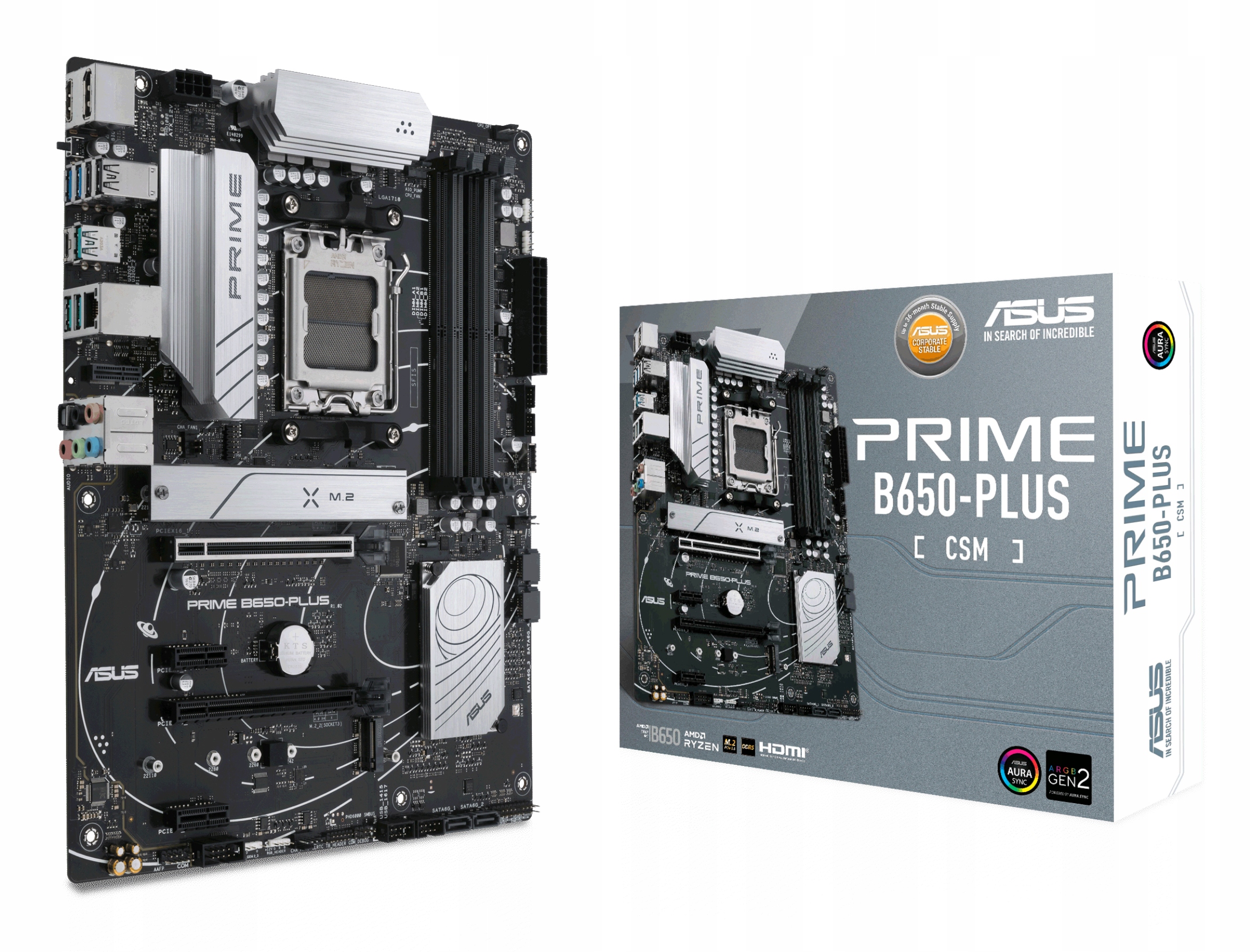 Asus Prime B650-PLUS-CSM
