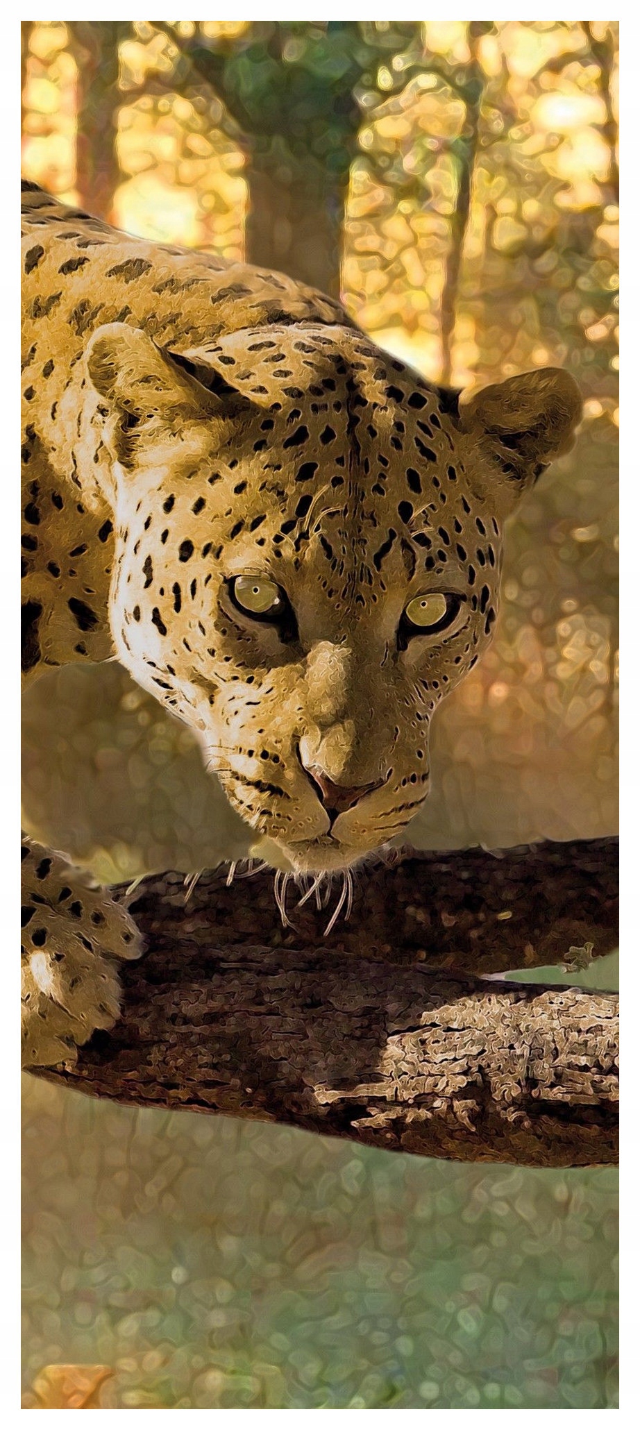 Samolepka Fototapeta Leopard ve slunné džungli exotika 91x211