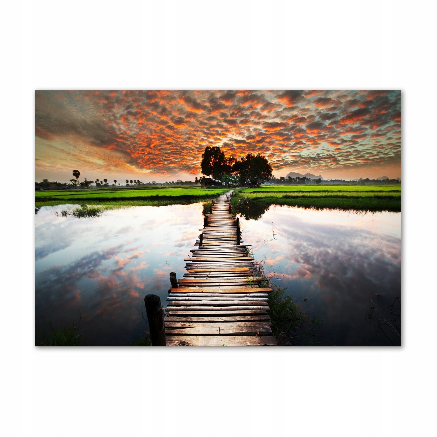 

Foto obraz szkło hartowane Drewniany most 100x70