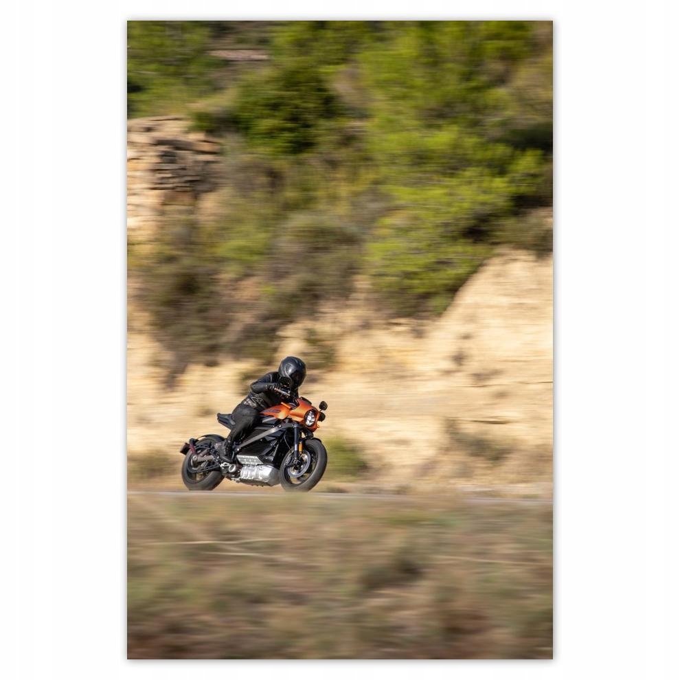 

Plakat 62x93 Harley Davidson Motocykl