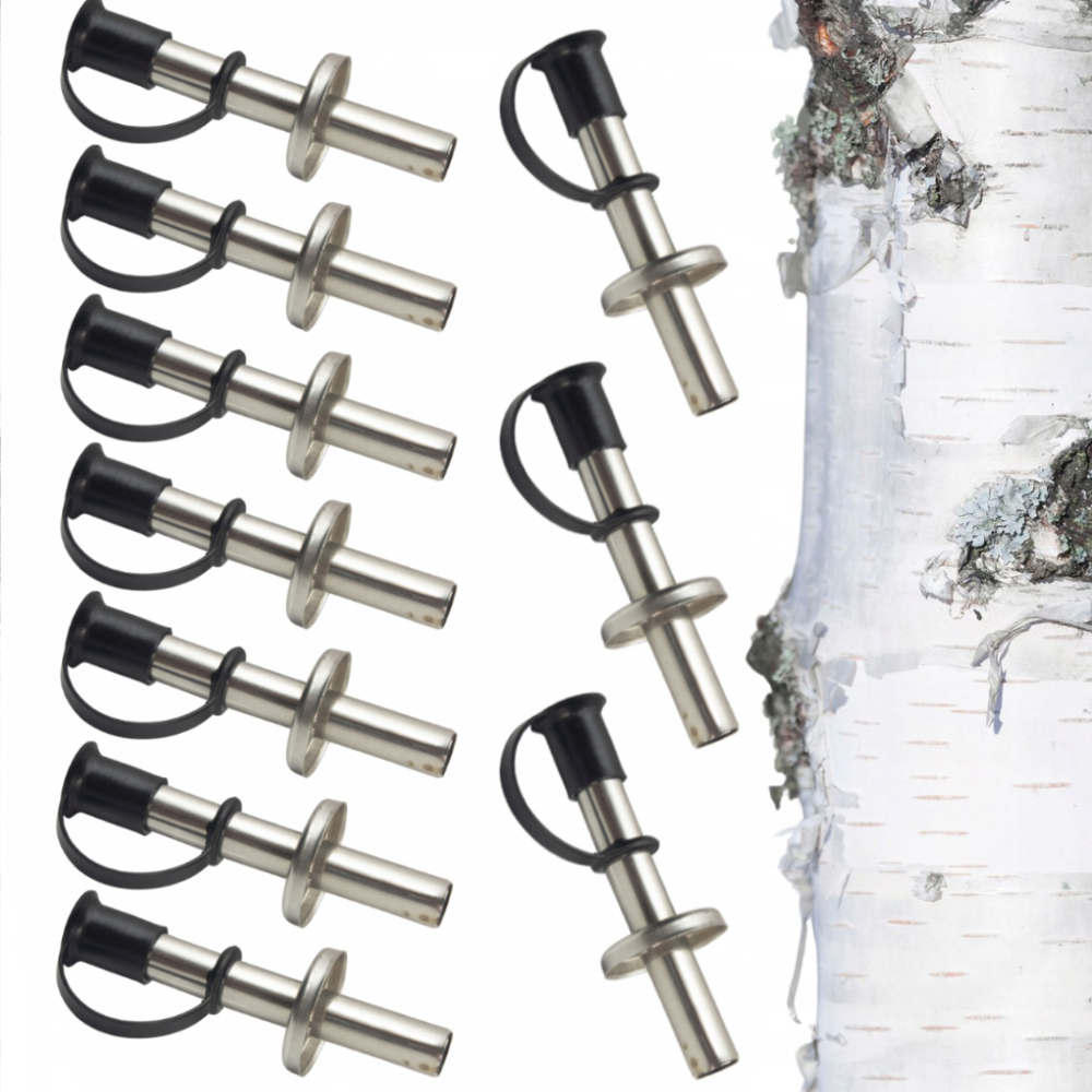 Sada Na Sběr Březové Šťávy Kapilárka 10 Ks Oskoła Březová Šťáva