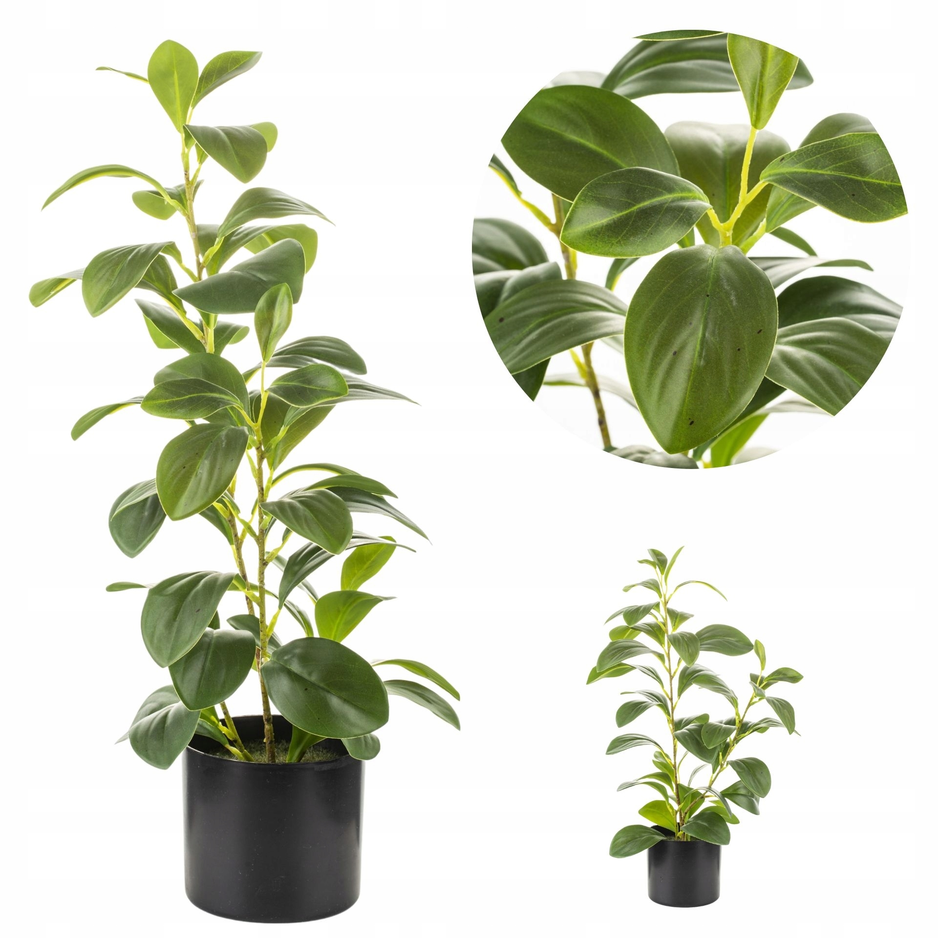 

Sztuczna Roślina Doniczkowa Jak Żywa Zielona 42x25