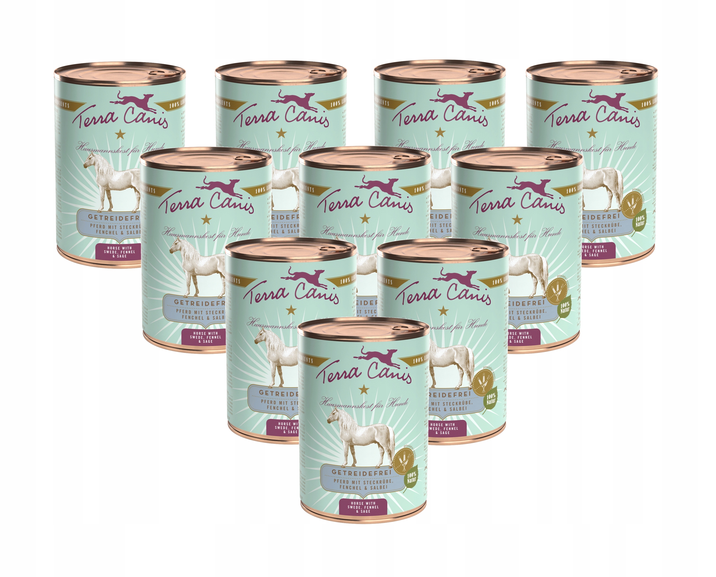 Terra Canis Konina s dlažbou, fenyklem a šalvějí 10x400 g