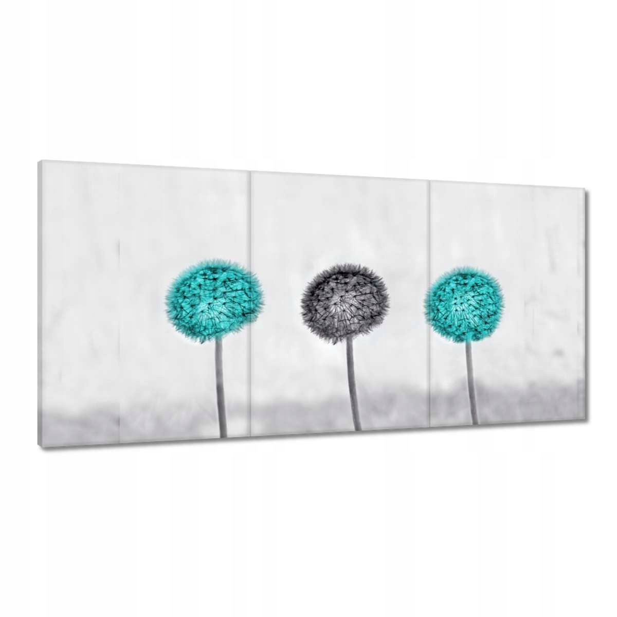 Obrazy 180x90 Tyrkysové dúchadlá