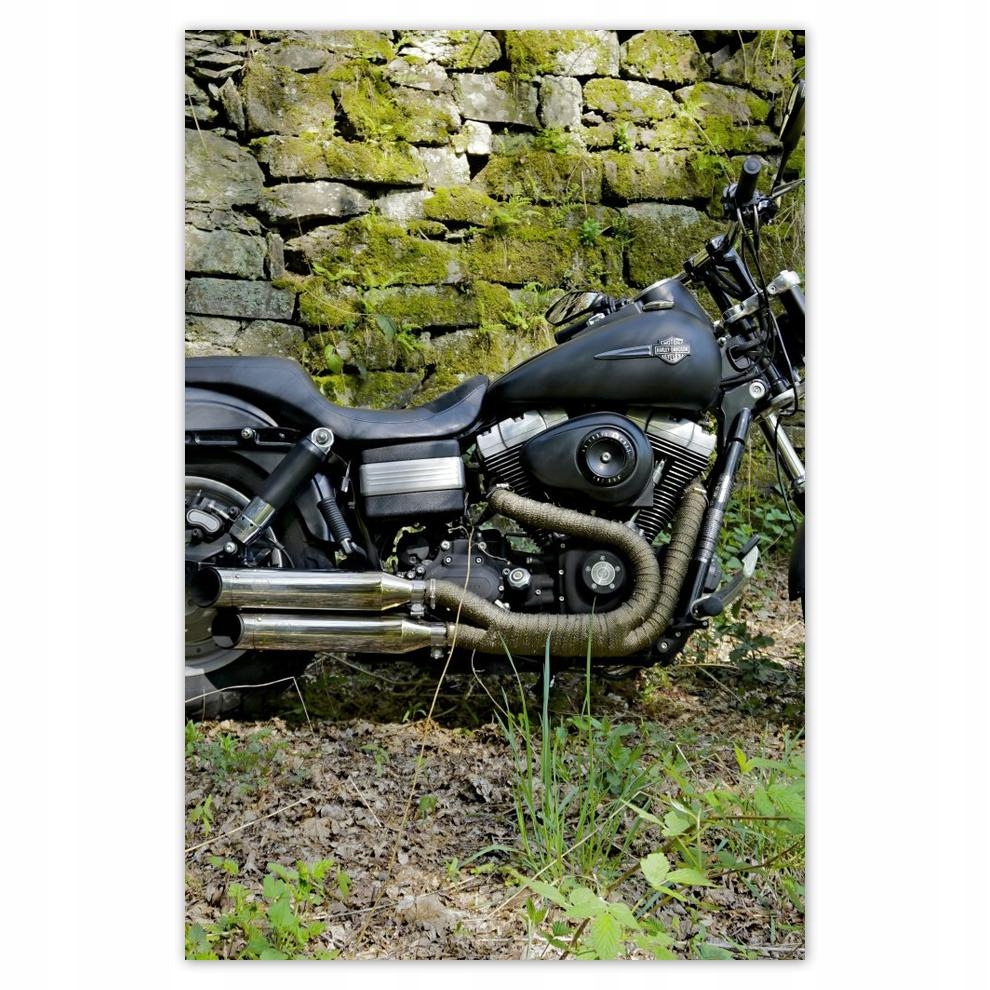 

Naklejki 40x60 Harley Davidson Motocykl