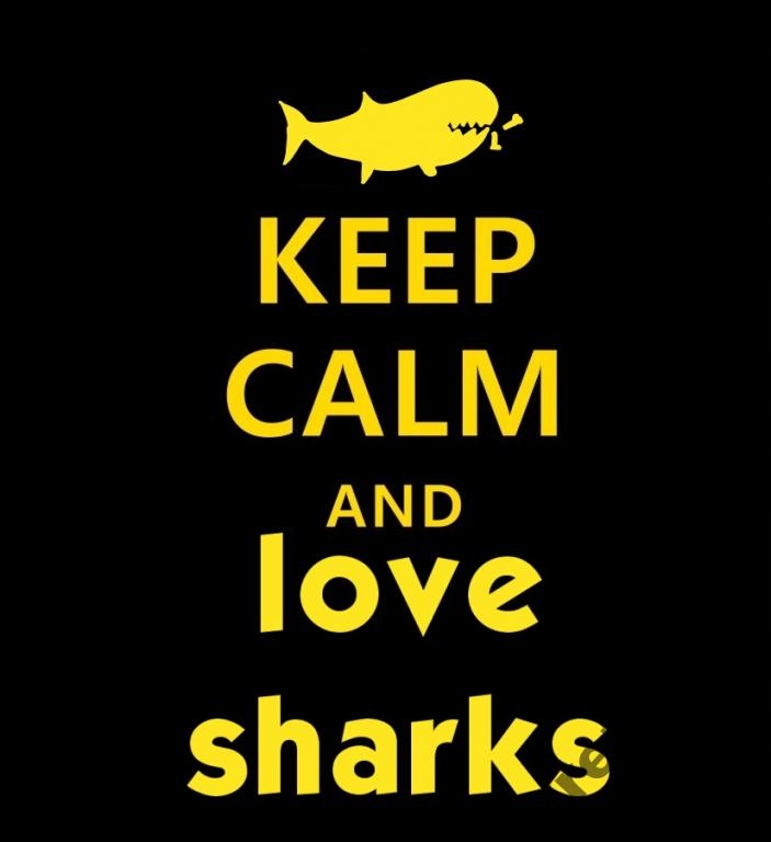 

Damska Koszulka Rekin Rozmiary Wzory Hit r5a