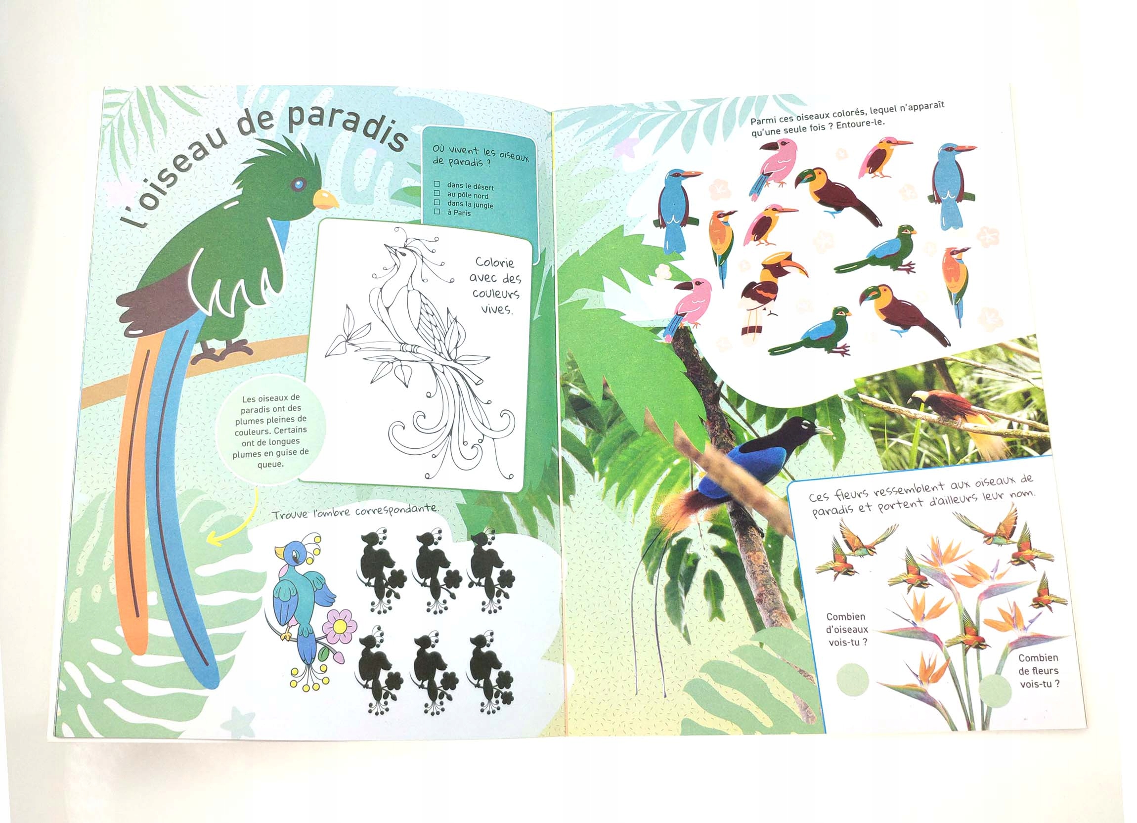 MON SUPER Praca zbiorowa Tytuł MON SUPER