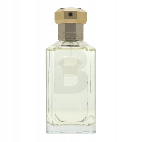 Versace Dreamer toaletní voda pro muže 100 ml