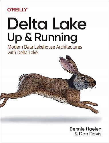 DELTA LAKE UP+RUNNING - Bennie Haelen [KSIĄŻKA]