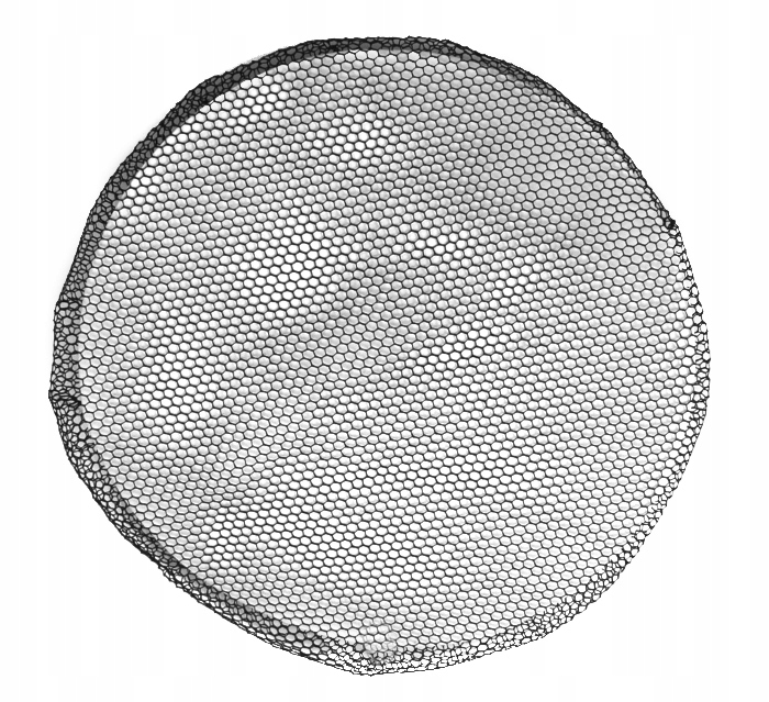 SIATKA DO KOKA CZARNA KLASYCZNA UNIWERSALNA