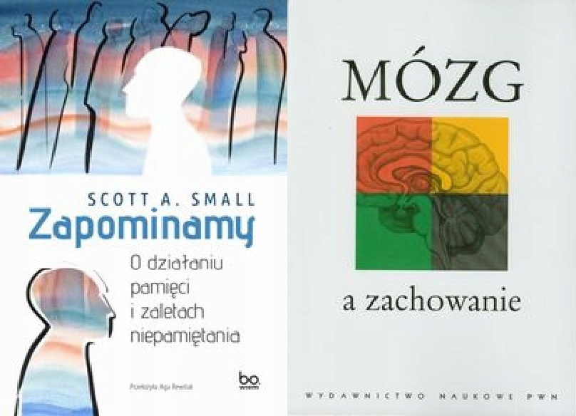 Zapominamy O pamięci Small Mózg a zachowanie