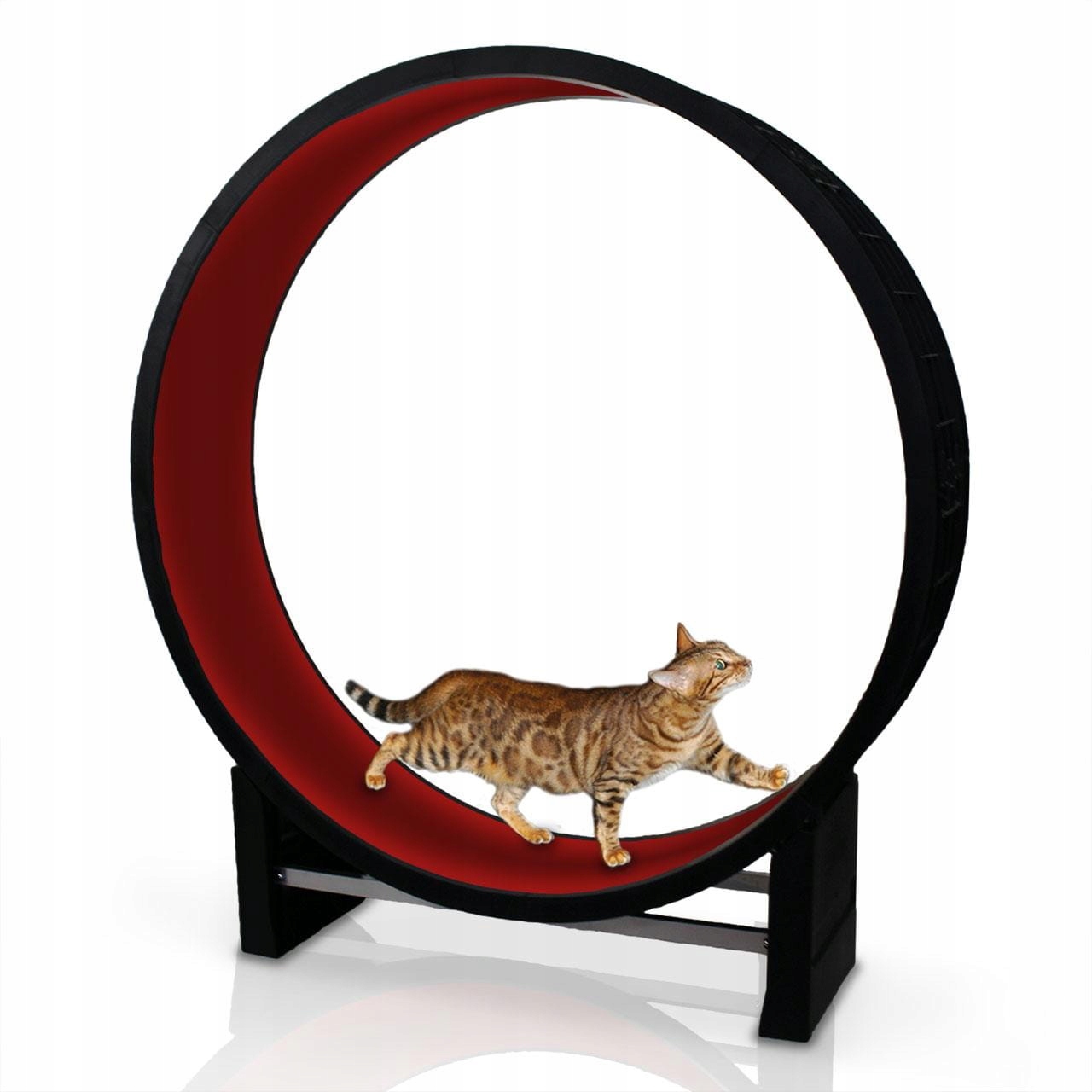 Levně Běžecký pás pro kočky Canadian Cat Cat in Motion Kolo Originální