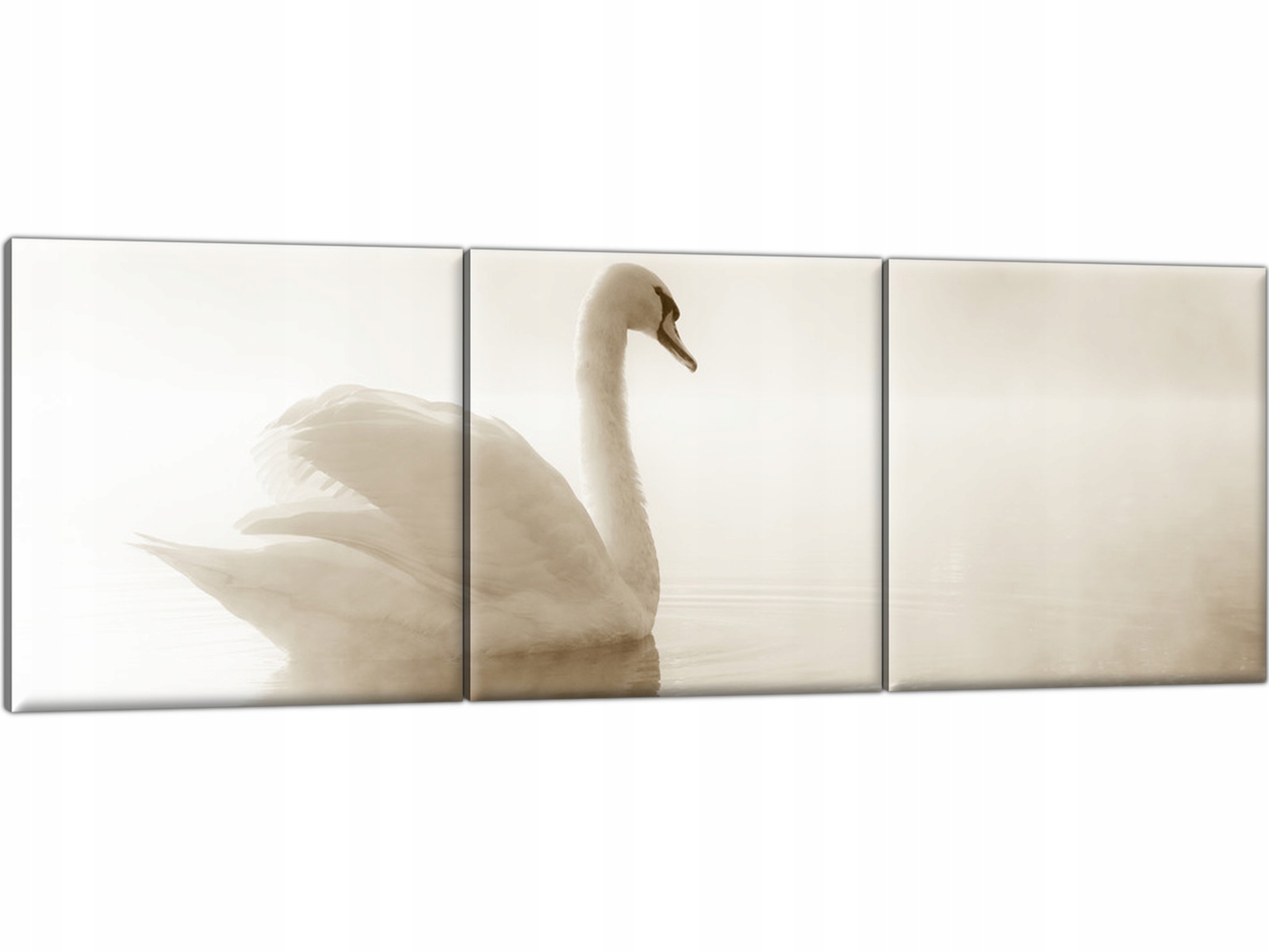 

Obraz na płótnie Łabędź Biały 150x50 Piękny Obraz