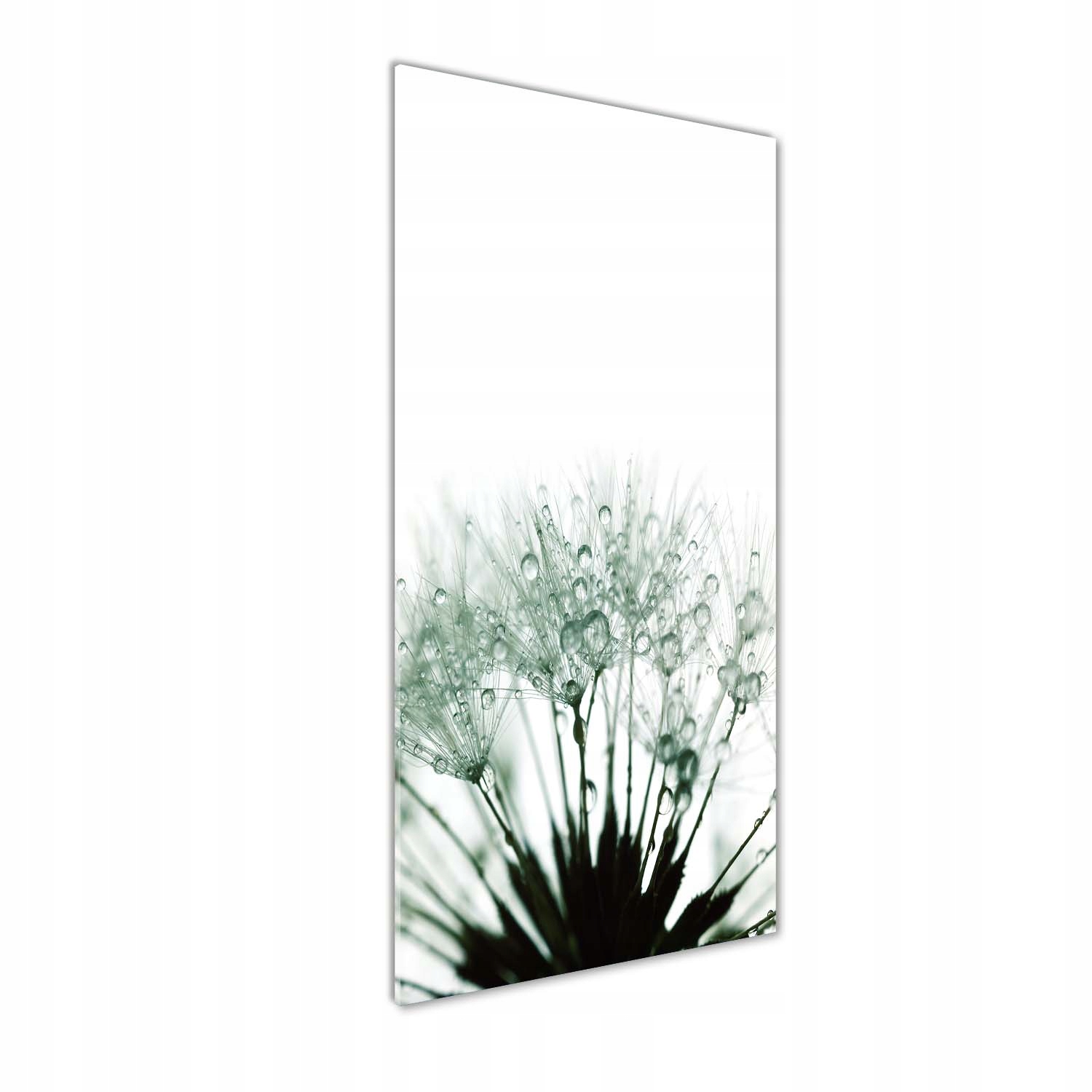 Fotoobraz na skle Semena foukače 50 x 125 cm