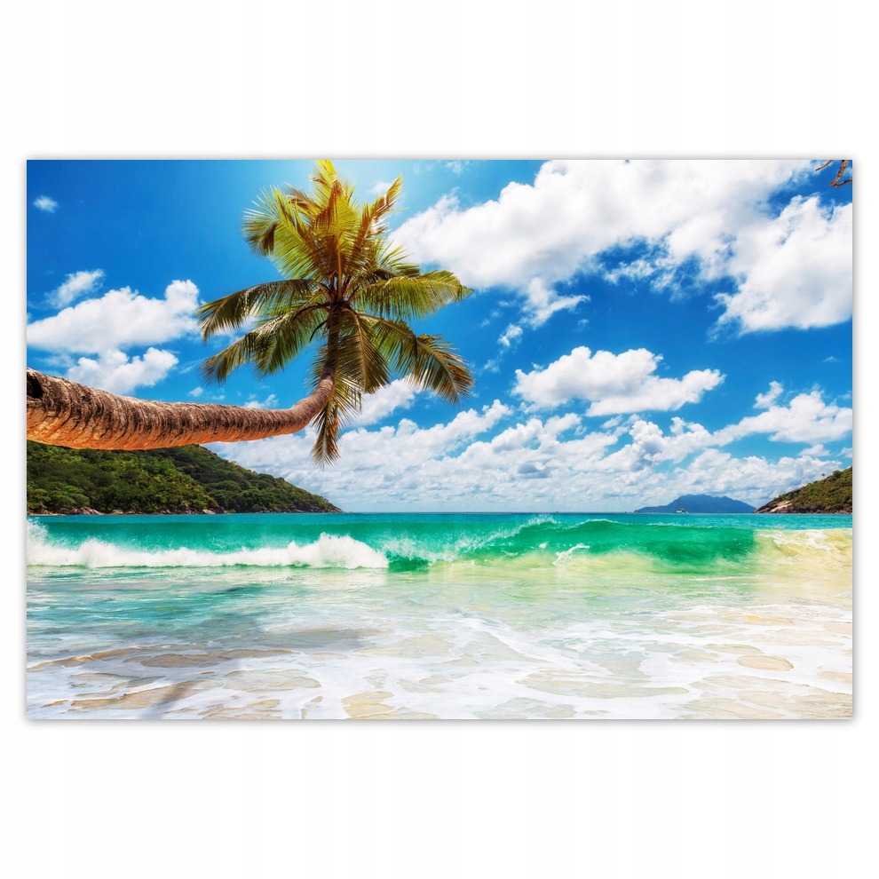 

Naklejki 185x125 Tropiki Palmy Plaża