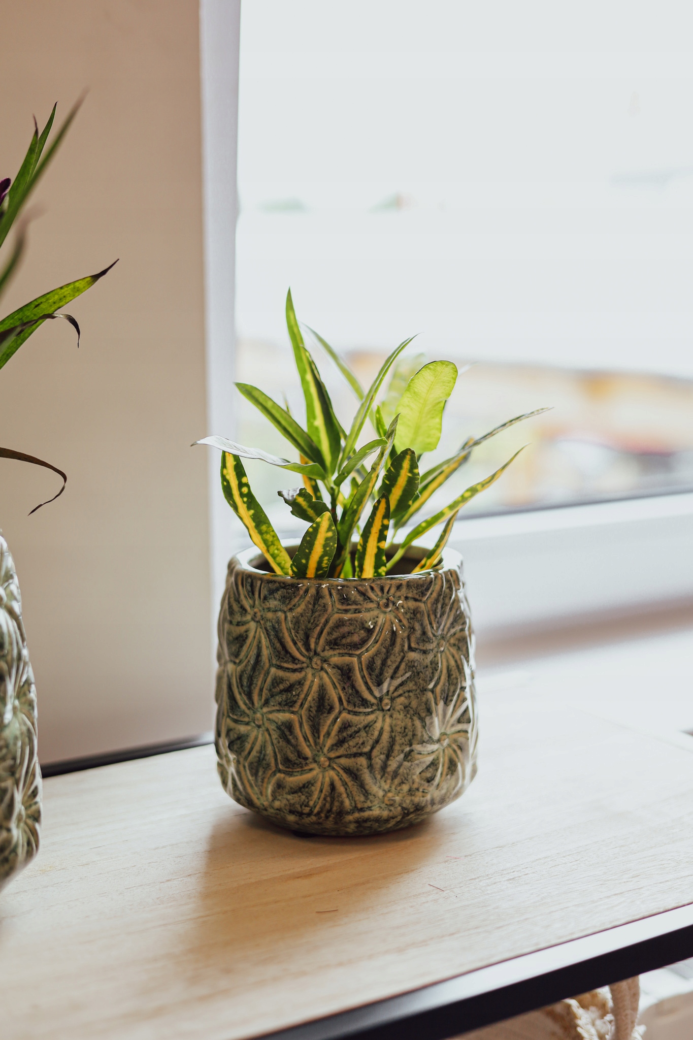 Osłonka ceramiczna IVY S 12×12cm Średnica 12 cm