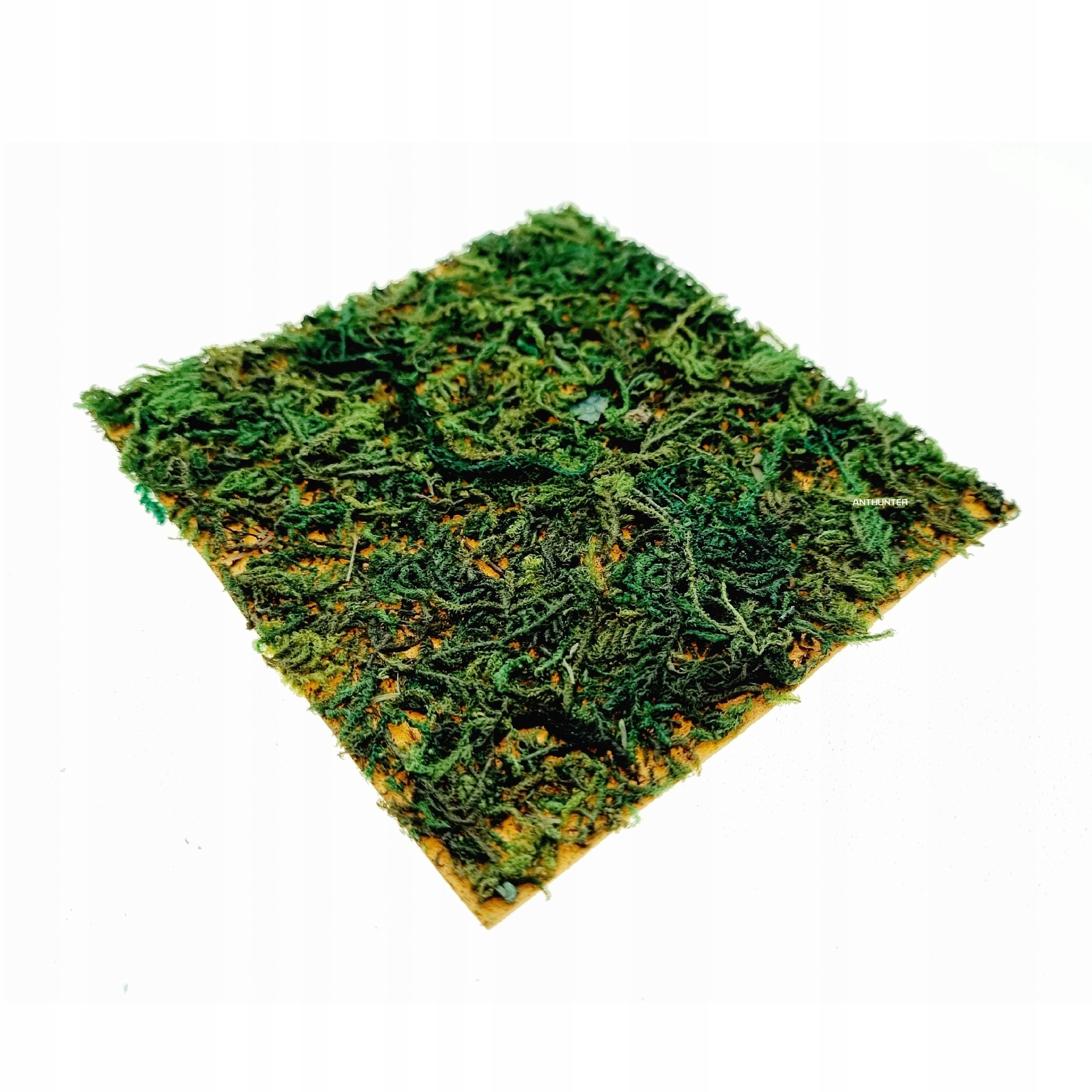 

Mech naturalny arkusz 10x10 cm