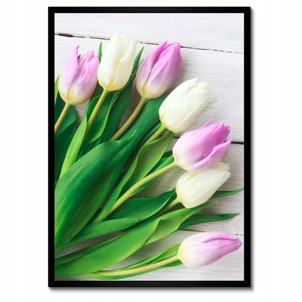 Plakáty v rámu 50x70 Jemné tulipány