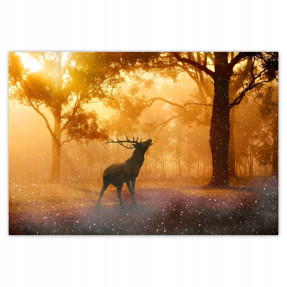 

Fototapety flizelina 104x70 Jeleń w lesie
